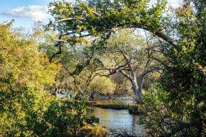 Zambezi river, Mosi o Tunya, Zambia