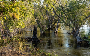 Zambezi river, Mosi o Tunya, Zambia