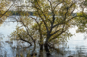 Zambezi river, Mosi o Tunya, Zambia