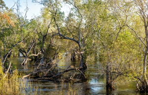 Zambezi river, Mosi o Tunya, Zambia