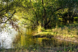 Zambezi river, Mosi o Tunya, Zambia