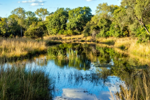 Mosi o Tunya National Park, Zambia