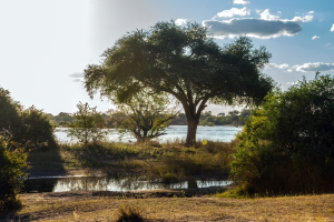 Zambezi river, Mosi o Tunya, Zambia