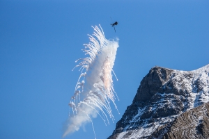 Swiss Army Flight Show