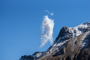 Swiss Army Flight Show