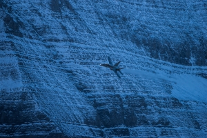 Swiss Army Flight Show