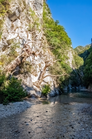 Acheron Gorge, Greece