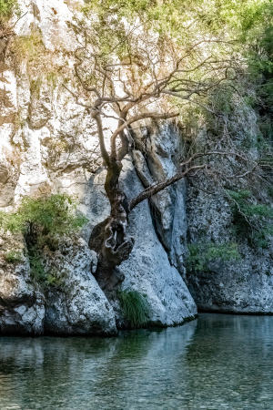Acheron Gorge, Greece