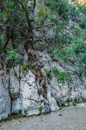 Acheron Gorge, Greece