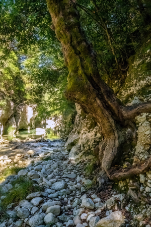 Acheron Gorge, Greece