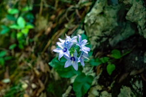 Acheron Gorge, Greece