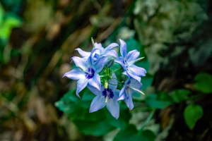 Acheron Gorge, Greece