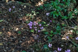 Acheron Gorge, Greece