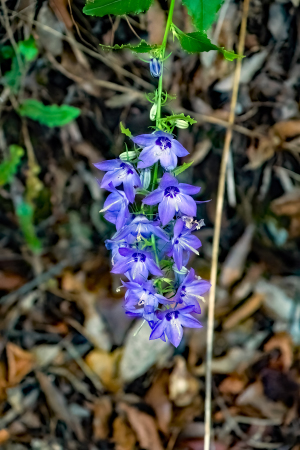 Acheron Gorge, Greece