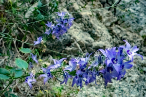 Acheron Gorge, Greece