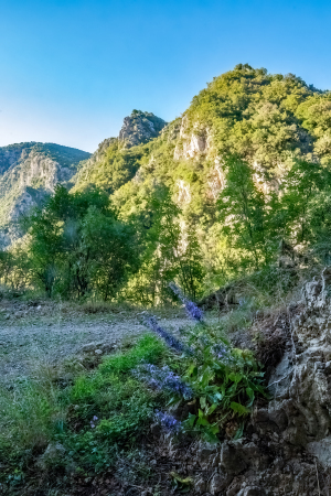 Acheron Gorge, Greece