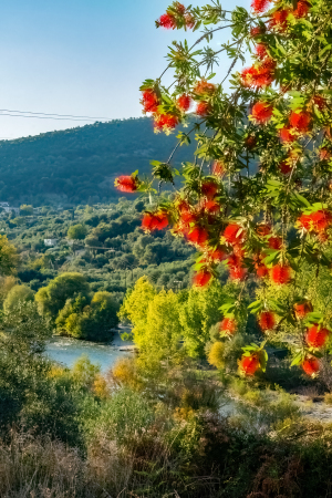 Acheron Gorge, Greece