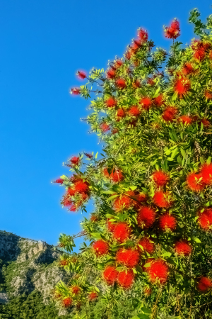 Acheron Gorge, Greece