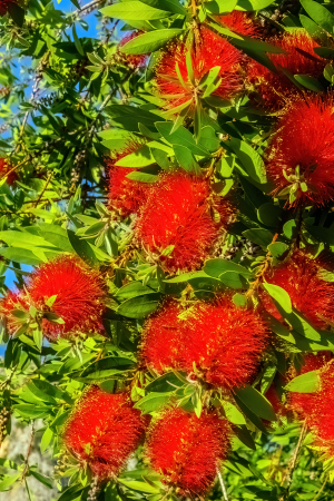 Acheron Gorge, Greece