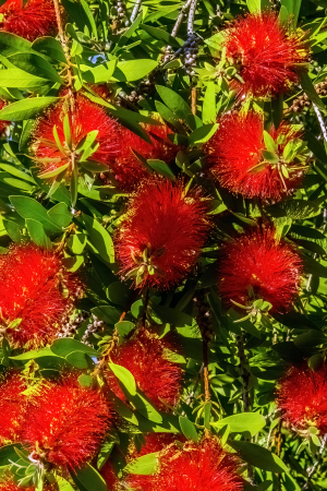 Acheron Gorge, Greece