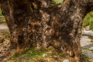 Acheron Gorge, Greece