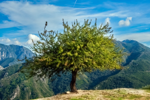 Acheron Gorge, Greece