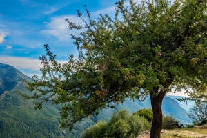 Acheron Gorge, Greece