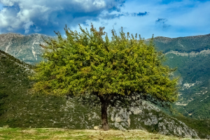 Acheron Gorge, Greece