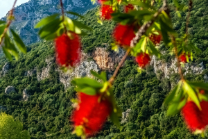 Acheron Gorge, Greece