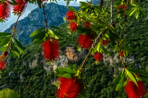 Acheron Gorge, Greece