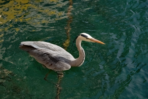 Portofino, Italia