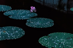 Botanical Garden, Taipei, Taiwan