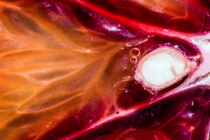 Blood orange macro