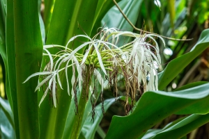 Zurich, Masoala rainforest