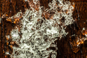 Snow flakes extreme macro