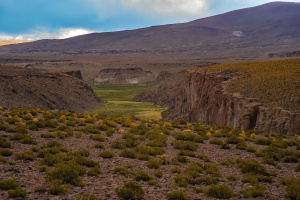 Way to Quetena, Altiplano, Bolivia