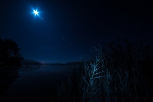 Lake by night