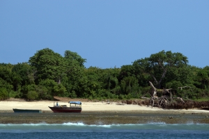 Limestone coastline