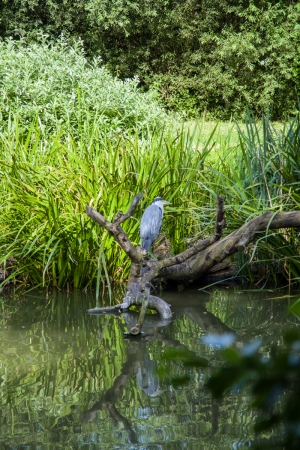 Zoo Zurich