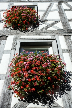 Half-timbered house