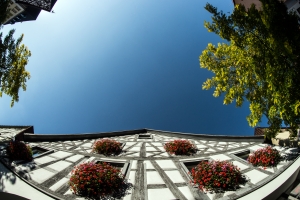 Half-timbered house