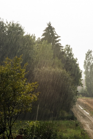 Pouring