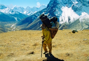 Porter in the Himalayas