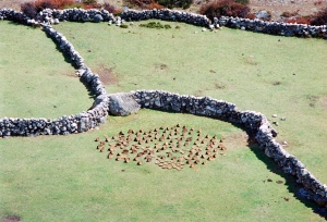 Yak dung drying