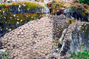 Yak dung drying