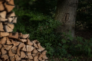 Wood pile